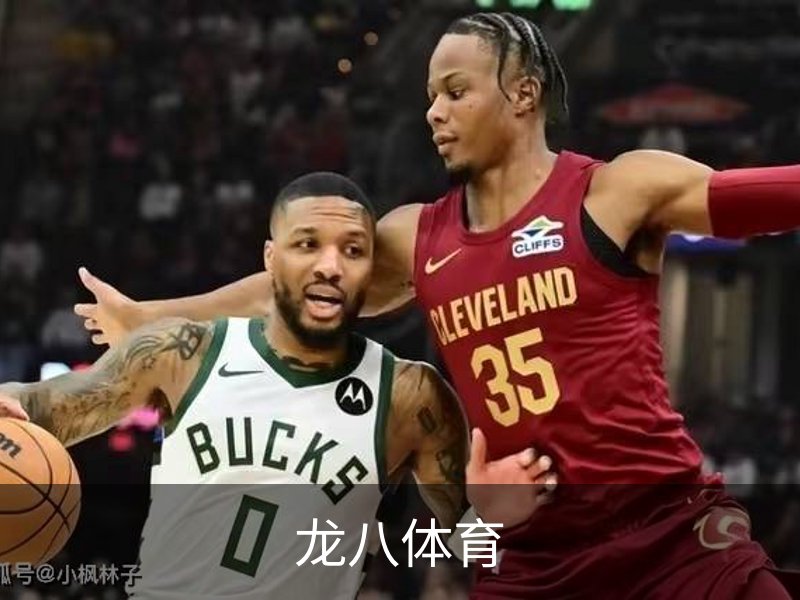 关于龙八体育